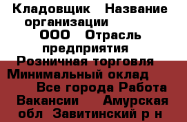 Кладовщик › Название организации ­ O’stin, ООО › Отрасль предприятия ­ Розничная торговля › Минимальный оклад ­ 17 200 - Все города Работа » Вакансии   . Амурская обл.,Завитинский р-н